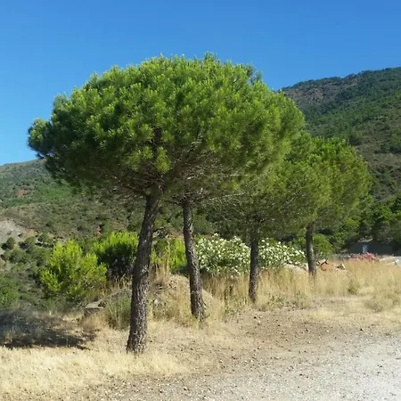 2147-beautiful 2 Bedrooms With Sea View * Manilva